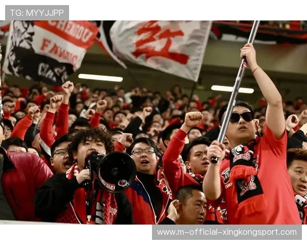 中超联赛观众互动体验提升，中超联赛 观众