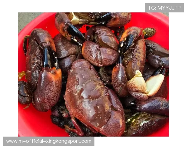 凌晨赶海，惠州市民满载而归！，惠州赶海几点去比较好