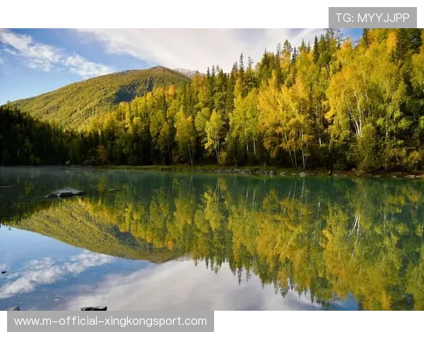 新疆男篮发文:前新疆男篮总经理&青年队主教练曹新因病去世,新疆男篮领队 新疆男篮发文:前新疆男篮总经理&青年队主教练曹新因病去世,新疆男篮领队